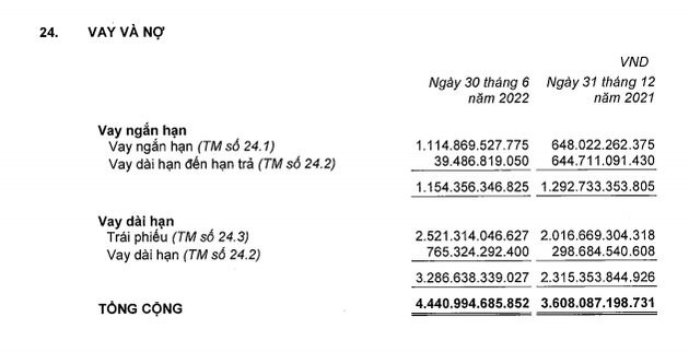 no-vay-cua-nam-long-group-tang-manh-trong-6-thang-dau-nam-1661755370-1661823126.jpg