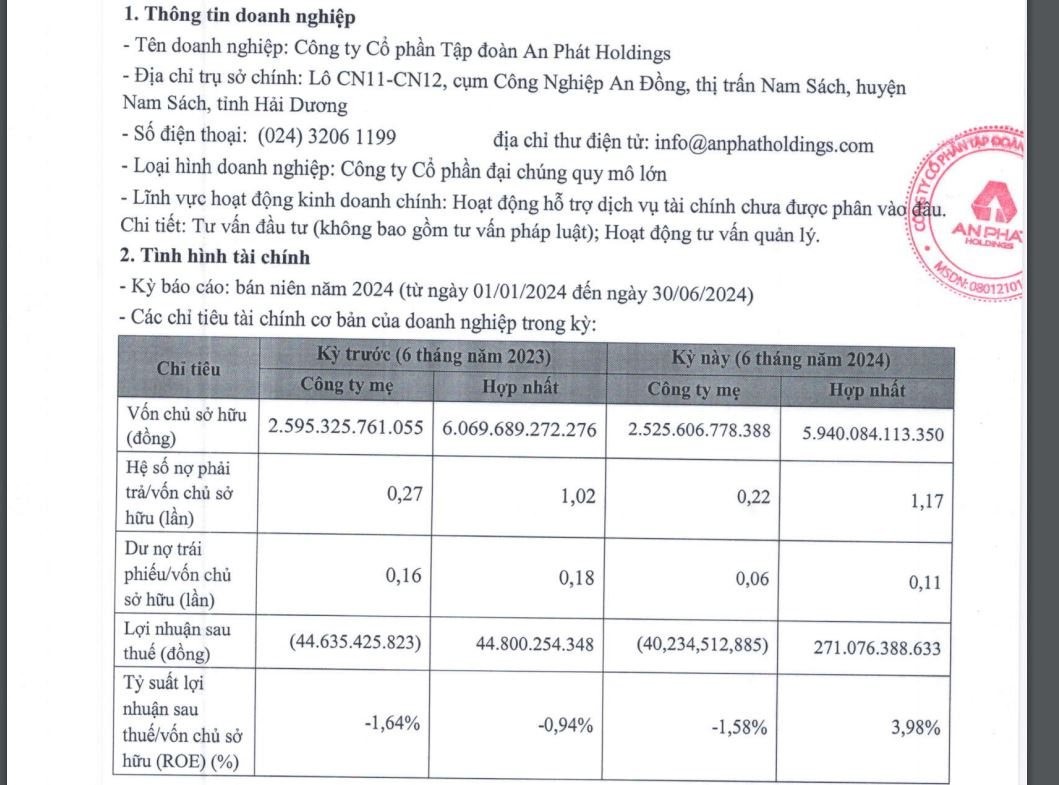 an-phat-holdings1-1725497265.jpg