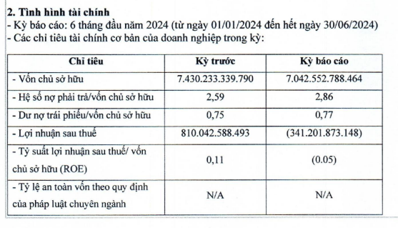 bim-land-lo-hon-341-ty-dong-trong-6-thang-dau-nam-2024-hinh-2-1725583460.png