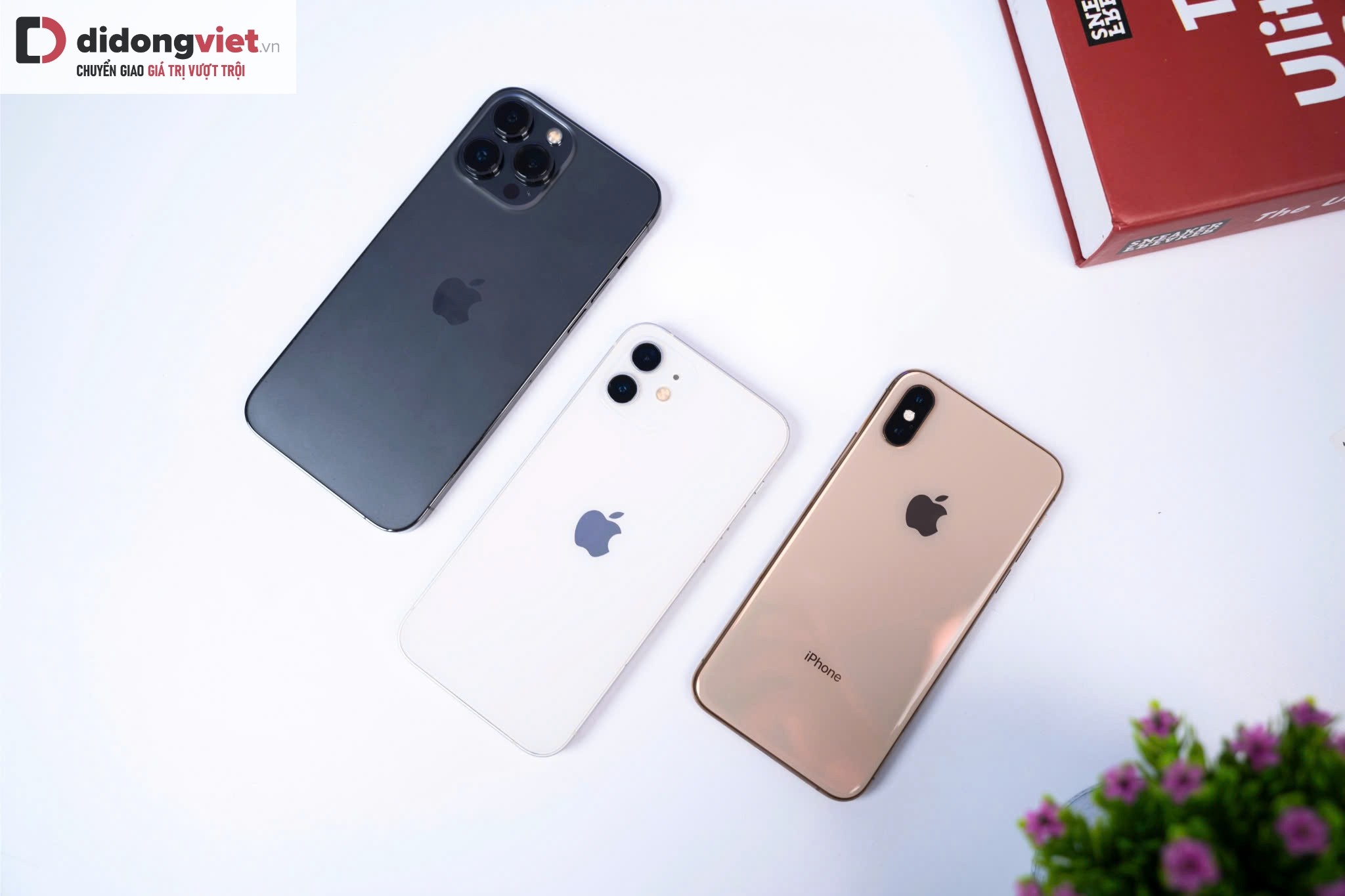 iphone-cu-1748491189.jpg