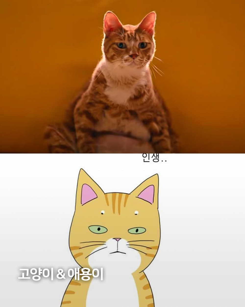 7-1752653343.png