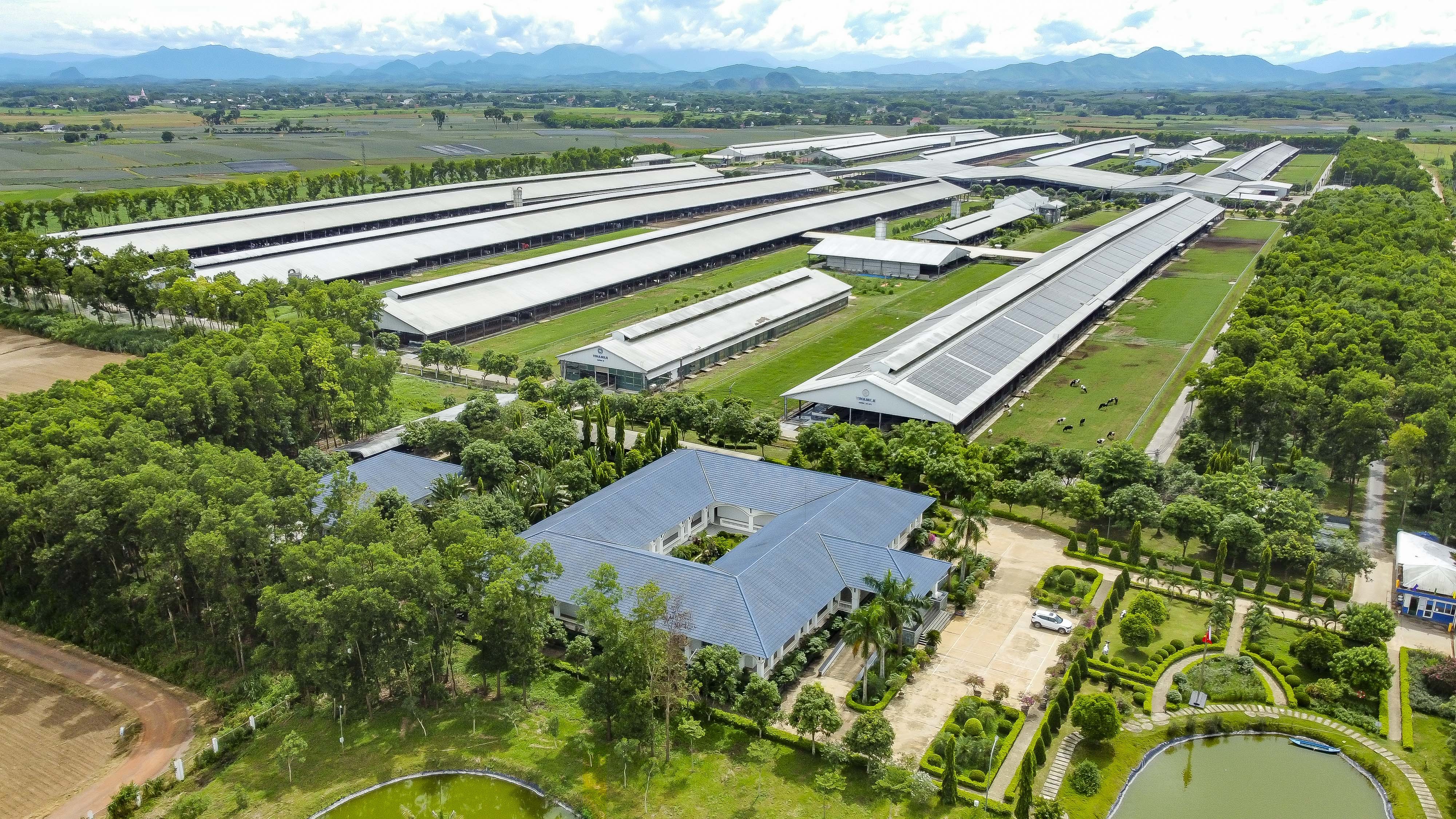 anh-2a-1755500054.jpg