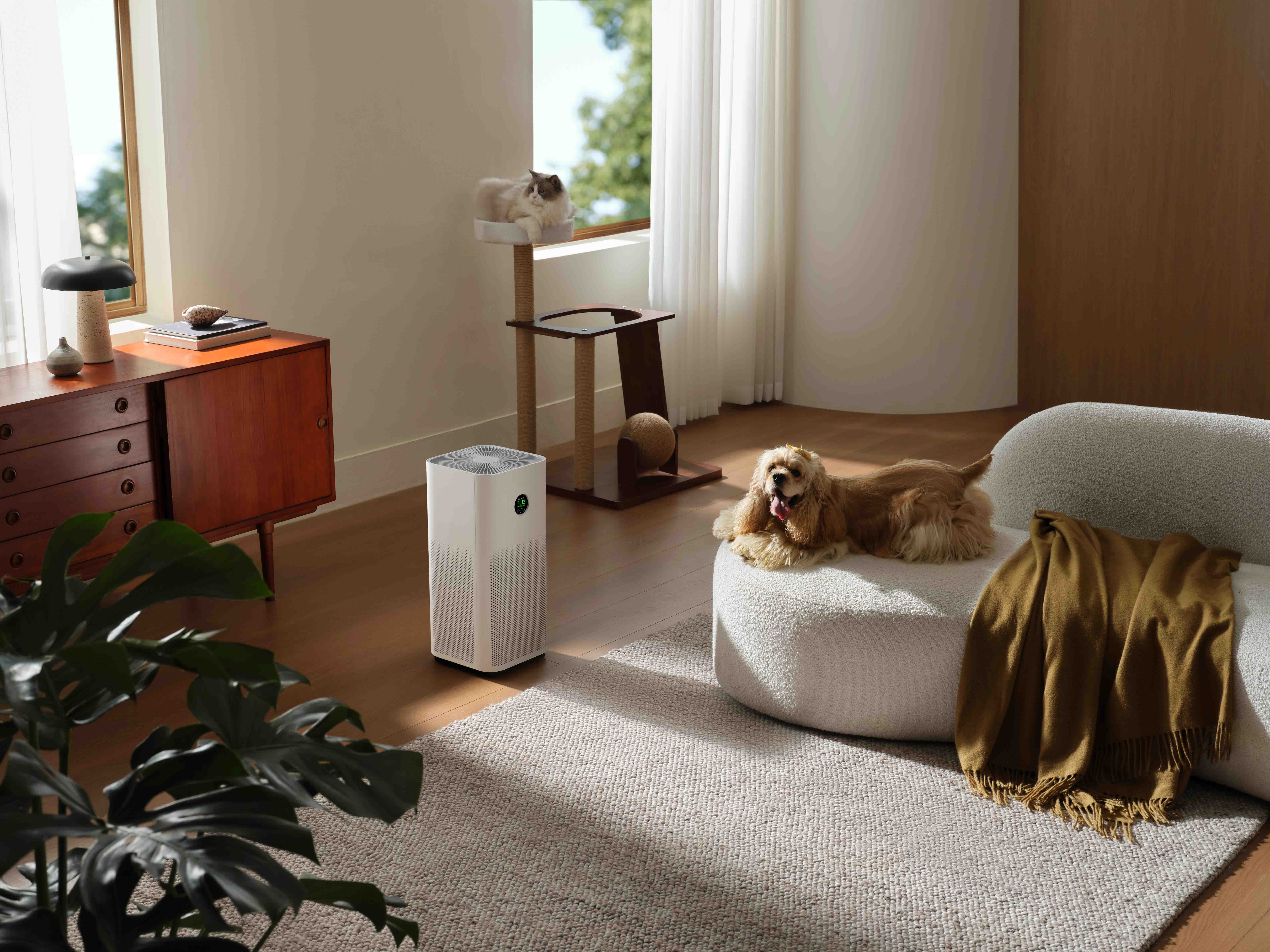 xiaomi-smart-air-purifier-6-green-fresh-air-breath-1758772272.jpg