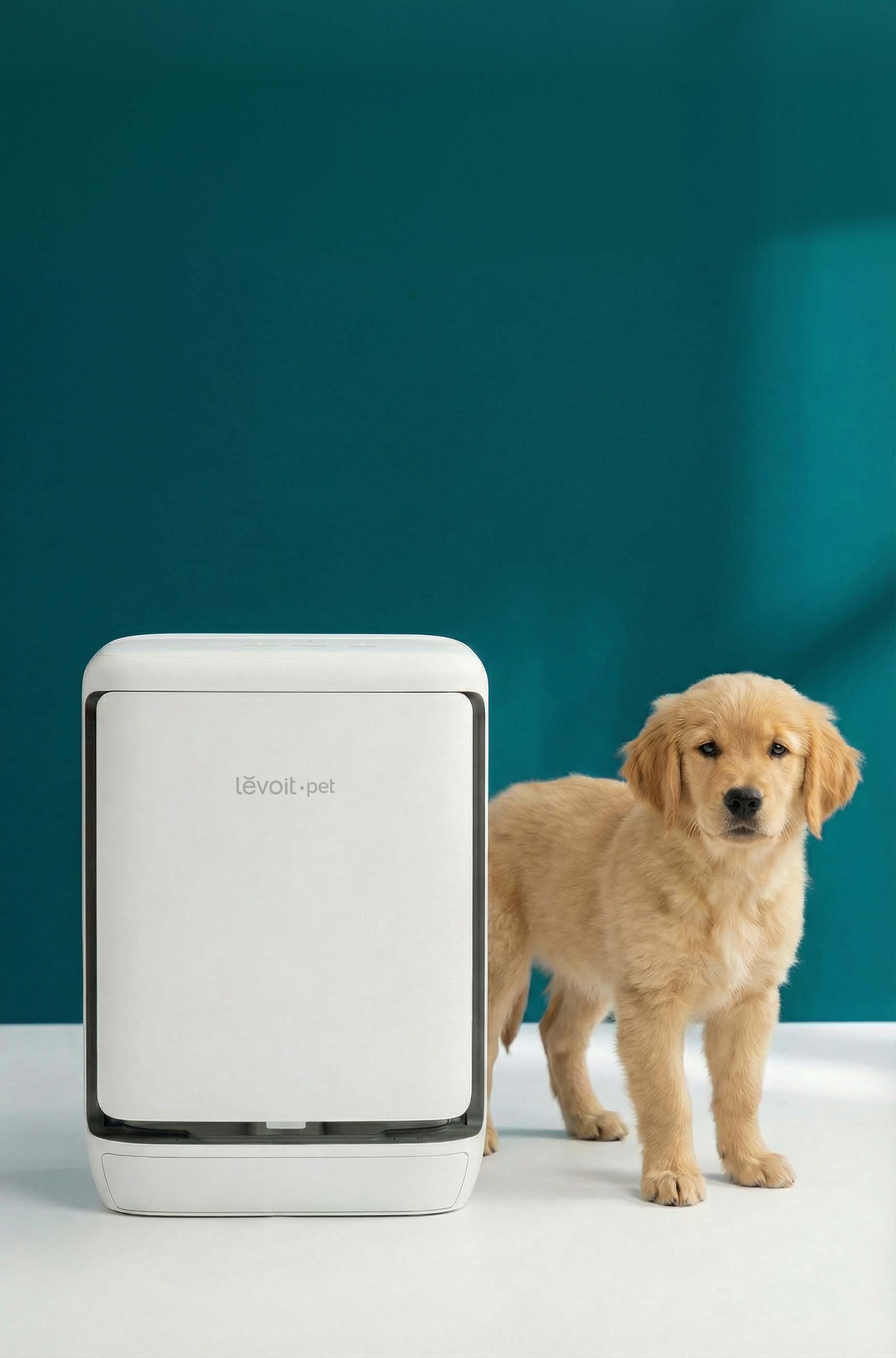 green-background-puppy-and-purifier-1785979249.jpg