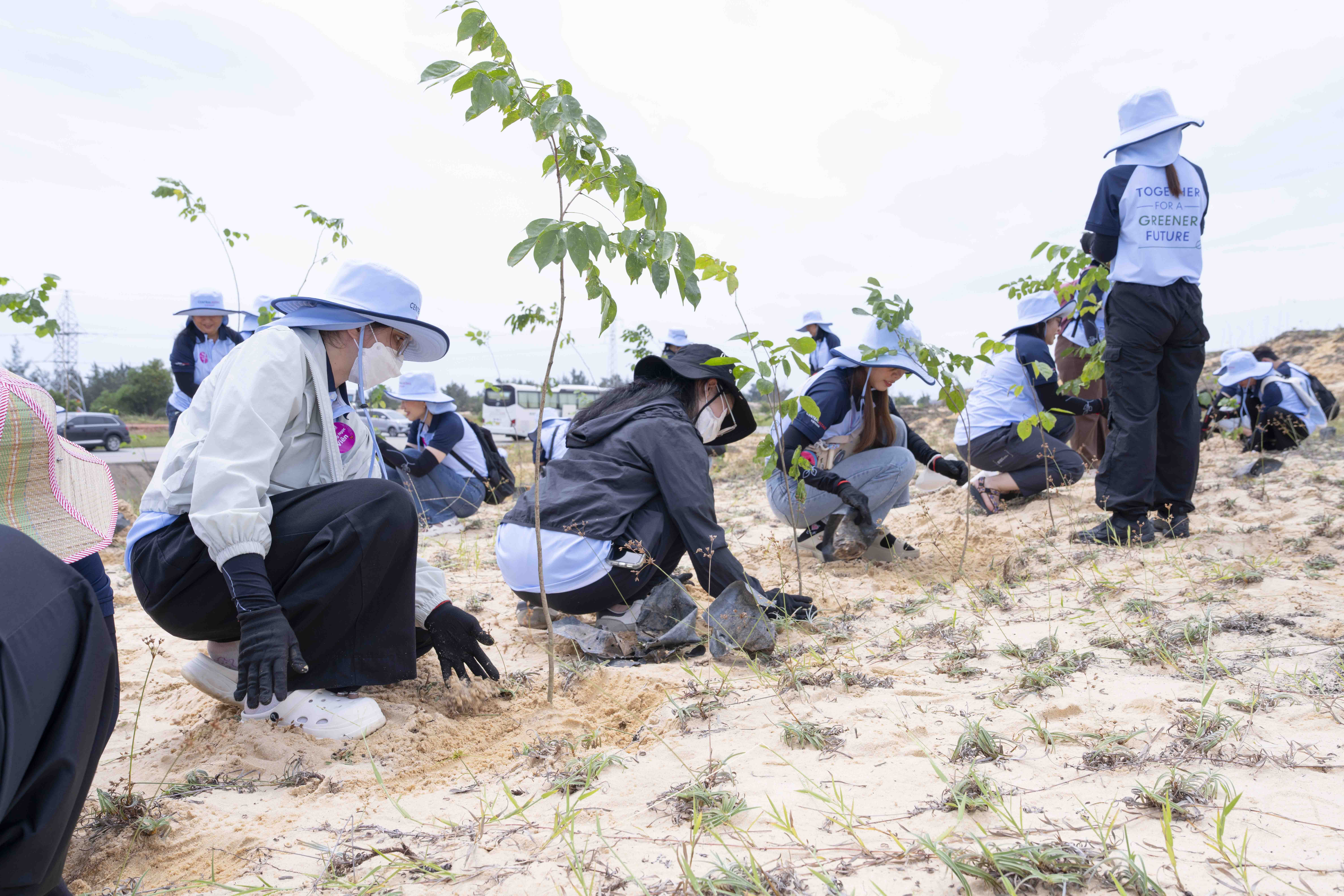 viec-trong-rung-tai-day-khong-chi-giup-co-dinh-dat-cat-tai-tao-nhung-vung-dat-ngheo-dinh-duong-ma-con-tao-dieu-kien-de-he-dong-thuc-vat-phat-trien-ben-vung-1791189246.jpg