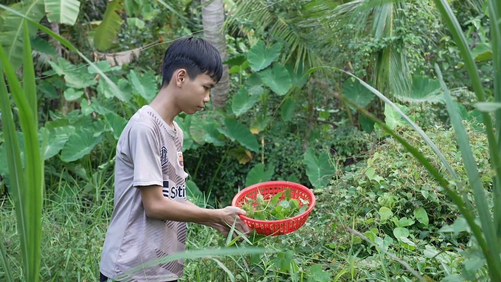 mai-am-gia-dinh-viet-nguyen-trong-phuc-1-0ccf1466da-1792975660.jpg