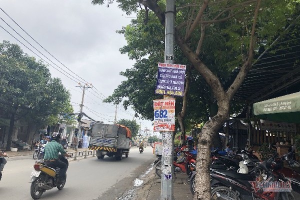 Giá đất vùng ven TP.HCM leo nóc, ngang bằng giá đất các quận trung tâm