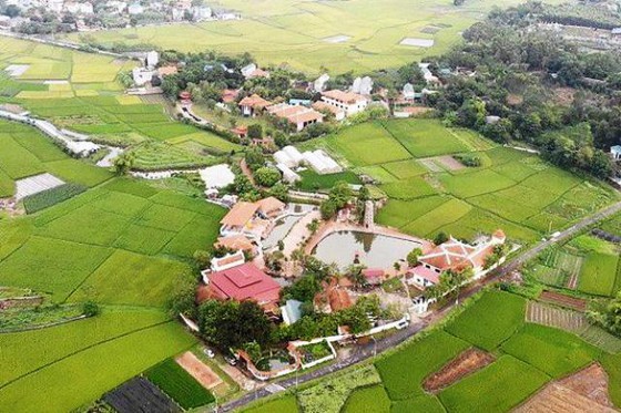 Thu hồi toàn bộ đất mua bán vi phạm của sư Thích Thanh Toàn quanh chùa Nga Hoàng  ảnh 1