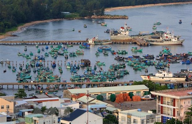 Nhung he luy phat sinh tu viec phat trien 'nong' tai Phu Quoc hinh anh 1