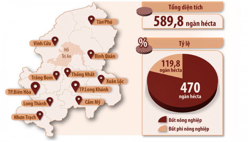 Đồ họa thể hiện tổng diện tích đất nông nghiệp (đất trồng lúa, đất trồng cây hằng năm, đất trồng cây lâu năm, đất nuôi trồng thủy sản, đất rừng) và đất phi nông nghiệp theo điều chỉnh quy hoạch sử dụng đất giai đoạn 2016-2020 của Đồng Nai được Chính phủ phê duyệt. (Thông tin: HƯƠNG GIANG - Đồ họa: HẢI QUÂN