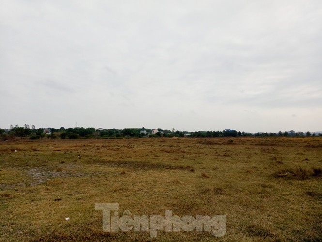 Cận cảnh khu đất khiến lãnh đạo Cty Thiên Phú bị bắt - ảnh 7