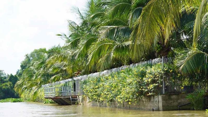 Trên đất bà Hoa, hành lang an toàn sông Sài Gòn đã bị dựng lên hàng trăm mét kè bê tông kiên cố, hàng rào chăng thép gai B40 (Hình chụp đầu tháng 6/2020).