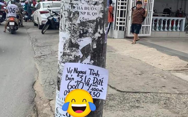 thị trường bđs, Mua nhà đất
