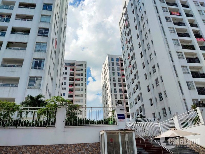 Chủ đầu tư giam sổ hồng 5 năm, chung cư Sài Gòn nhuộm đỏ băng rôn