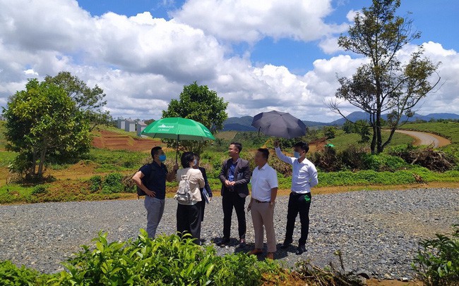 Bất động sản 24h: Nhà đầu tư mắc cạn vì mua đất rừng, đất nông nghiệp giá rẻ