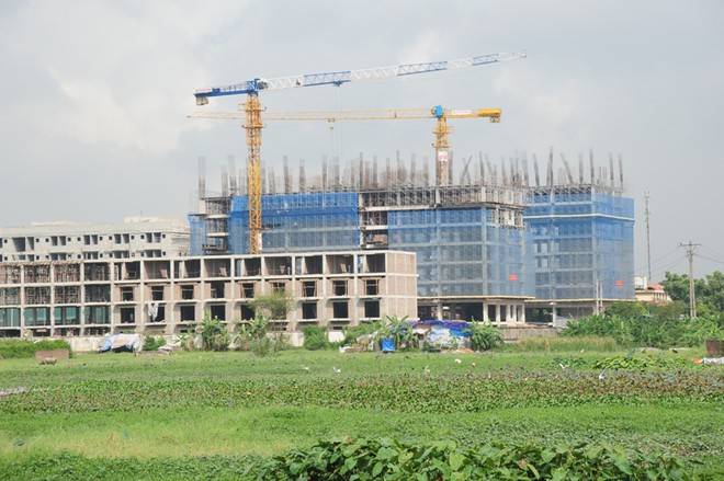 Săn đất “sale off”!
