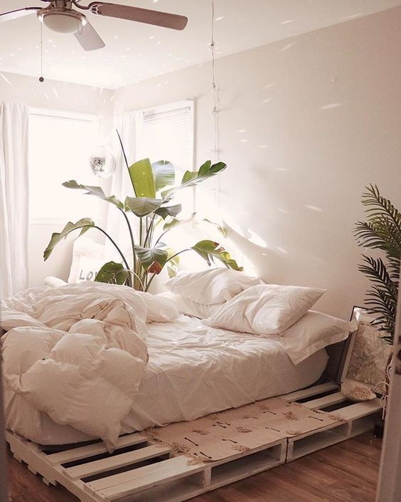 Thân thiện với môi trường cùng giường pallet 