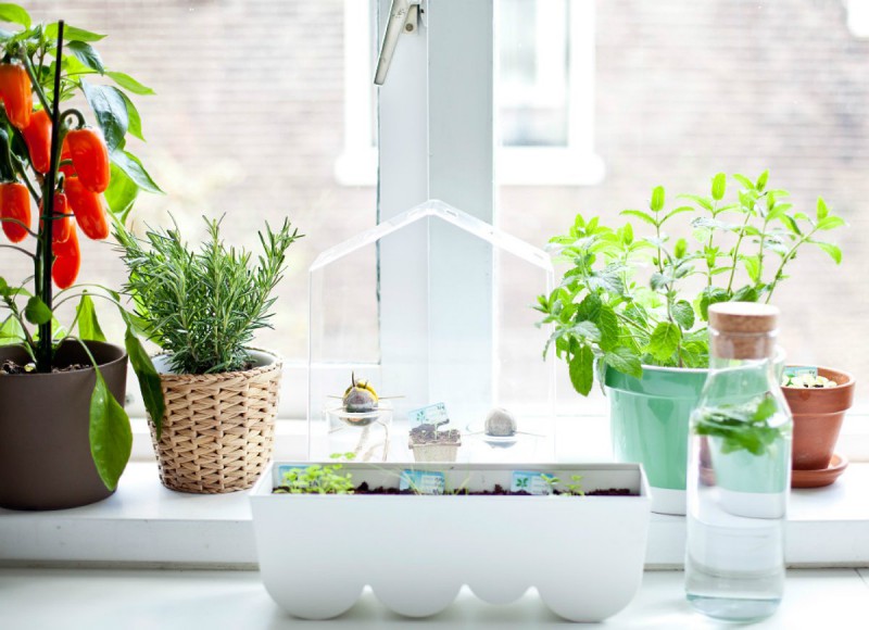 Mẹo giữ phòng bếp thông thoáng, mát mẻ