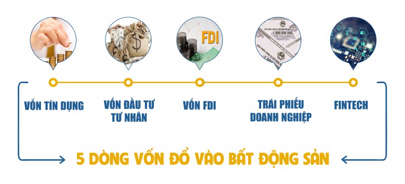 bđs 7