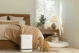 Vital Pet Pro: Giải pháp lọc không khí mới của Levoit dành cho nhà nuôi thú cưng