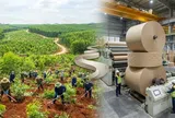 Thanh tra Chính phủ chỉ ra loạt tồn tại về đất đai của VINANACO và Tập đoàn Tân Mai