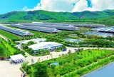 50 năm Vinamilk: Khi ‘đạt chuẩn’ chưa phải điểm dừng