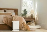 Levoit Eleva 300X: máy lọc không khí AI thế hệ mới