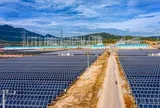 Điện Mặt trời Trung Nam Thuận Nam báo lỗ bán niên 2026