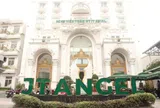 Công ty Bệnh viện JT Angel nợ thuế hơn 7,1 tỷ đồng