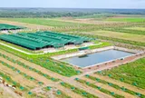 Thaco Agri bị xử lý vi phạm chứng khoán