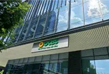 OCBS tư vấn phát hành trái phiếu riêng lẻ không đảm bảo quy định