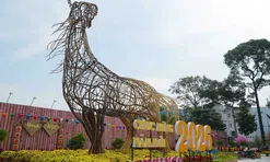 Công viên Hoa Xuân 152 Trần Phú chính thức mở cửa từ ngày 10/02/2026: Thêm điểm check-in cho người dân TP. HCM trong dịp đầu năm mới