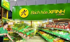Chi nhánh Bách Hoá Xanh nợ thuế hơn 4 tỷ đồng