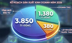 Chủ tịch Saigonres Group có nguy cơ bị tạm hoãn xuất cảnh
