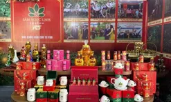 Sâm Ngọc Linh Kon Tum và hàng loạt doanh nghiệp nợ thuế