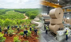 Thanh tra Chính phủ chỉ ra loạt tồn tại về đất đai của VINANACO và Tập đoàn Tân Mai