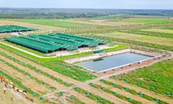 Thaco Agri bị xử lý vi phạm chứng khoán