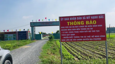 Long An: Bí thư xã Mỹ Hạnh Bắc có gây khó dễ cho doanh nghiệp?