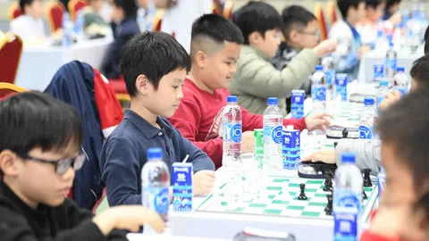 Vinamilk đồng hành cùng 1.600 kỳ thủ tại giải cờ vua học sinh báo thiếu niên Tiền phong và Nhi đồng