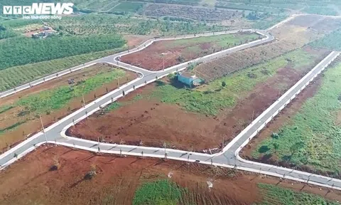 Không cần lập dự án, quả đồi 36ha ở Lâm Đồng bị xẻ thành 1.000 nền đất để bán