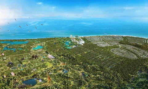 Bà Rịa – Vũng Tàu: Dự án vườn thú Safari quy mô hơn 500ha có đúng quy định pháp luật?