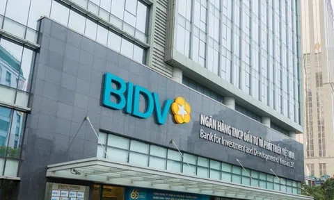 BIDV Đồng Nai lộ những 'lỗ hổng' trong quản trị rủi ro tín dụng