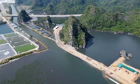 Chủ đầu tư dự án lấn vùng đệm vịnh Hạ Long bị đoàn kiểm tra lập biên bản nhiều lỗi vi phạm