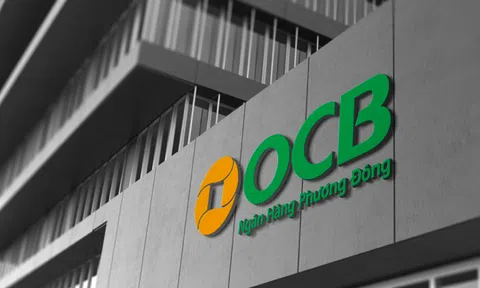 Thanh tra phát hiện nhiều tồn tại, hạn chế tại OCB Đà Lạt