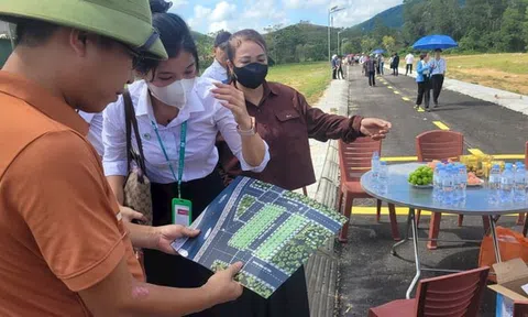 Phạt Công ty Đông Quân Land hơn 500 triệu đồng