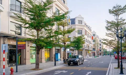 Cam kết tiền thuê 5 năm và hỗ trợ lãi suất 0%: Đòn bẩy kép giúp nhà đầu tư Vinhomes Golden Avenue an tâm khởi sự