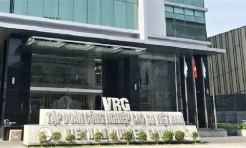 Tập đoàn Cao su Việt Nam để xảy ra thua lỗ, tiềm ẩn rủi ro mất vốn nhà nước