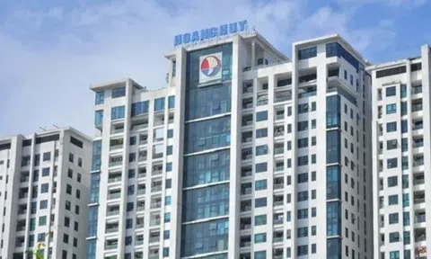 Công ty CP Đầu tư Dịch vụ Tài chính Hoàng Huy bị thanh tra chỉ ra loạt sai phạm