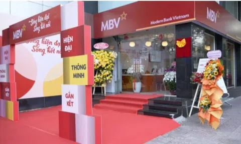 MBV Bình Dương để xảy ra sai sót, vi phạm