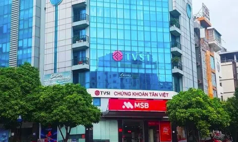 Để nhân viên hành nghề "chui" 5 năm, Chứng khoán Tân Việt bị phạt nặng